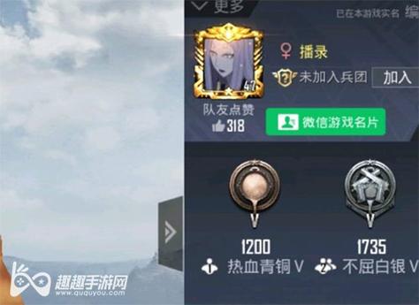 和平精英腾讯模拟器辅助【ACE变态版】